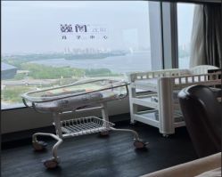 -巍阁高端月子中心(新世界店)