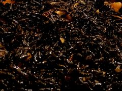 -仙店农庄(湖景农庄餐厅)