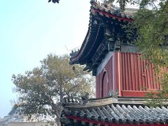 -北京艺术博物馆(万寿寺)