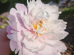 -长白山万达锦华套房酒店