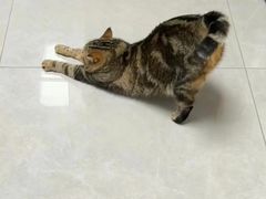 -达爱动物医院·犬猫分区·CT·复杂眼科(远洋山水分院)