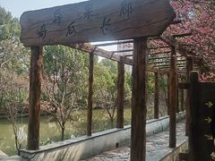 -南汇桃花村