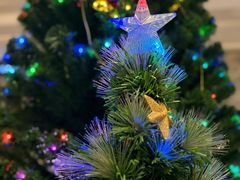 -弘安丽水温泉酒店