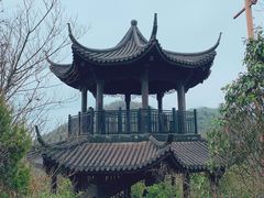 -杭州半山国家森林公园