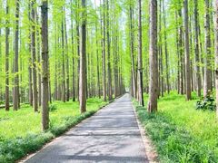 -上海怡沁园度假酒店