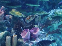 -海合安成都极地海洋公园