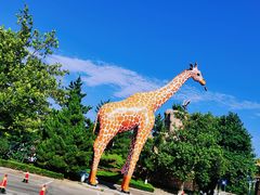 -西霞口神雕山野生动物世界