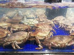 -盒马鲜生(新都心店)