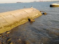 -东疆建设开发纪念公园