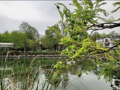 -杭州植物园