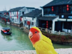 -千灯古镇