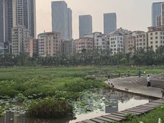 -中澳友谊花园