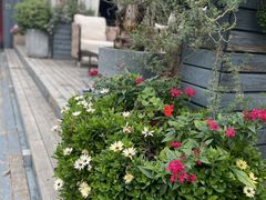 -小河盐帮·私家菜·烤鸭(三元桥·霄云路店)