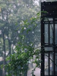-Lily纤美·科技减脂中心
