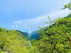 -泰山风景名胜区