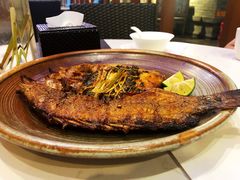 -滇越乘象云南餐厅(豆各庄店)