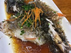 清蒸红眼鱼-下梅人家土菜馆(历史文化餐厅度假区店)