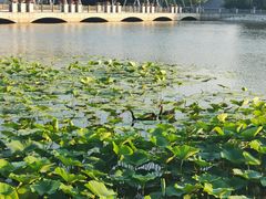 -长春世界雕塑园冰雪艺术天地