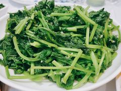 -九里香(三世传承店)