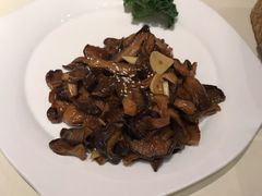 XO酱干烧农场蘑菇-觅唐MITONG(鸟巢店)