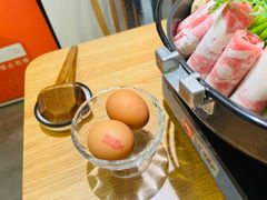 无菌蛋-团子君寿司·茶