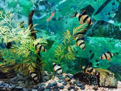 -中国湿地博物馆