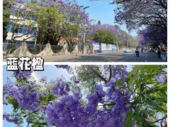 -西昌邛海湿地