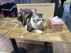 -小时光咖啡馆(开森度假森林店)