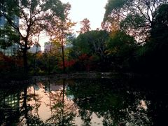 -新虹桥中心花园