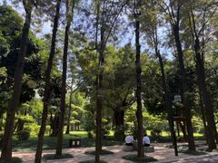 -南宁南湖公园