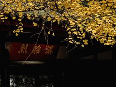 -成都武侯祠博物馆