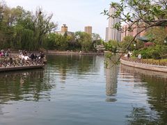 -迎泽公园