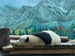 -武汉动物园