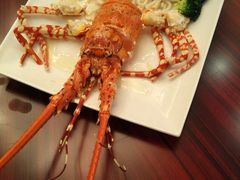 清蒸澳洲龙虾-汕头龙光喜来登酒店-采悦轩中餐厅