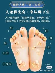 -香薇妮丝女子减肥院