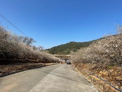 -广州市流溪河国家森林公园