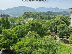 -宜春明月山维景国际温泉度假酒店