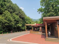 -五女峰国家森林公园