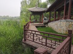 -北坞公园