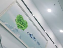-蕾特恩专业祛痘国际连锁