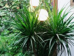 -Nirvana Cafe&Bar(北仓文创街区店)