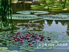 -国家植物园南园