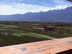 -翠田Green Field Kitchen