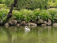 -中山詹园
