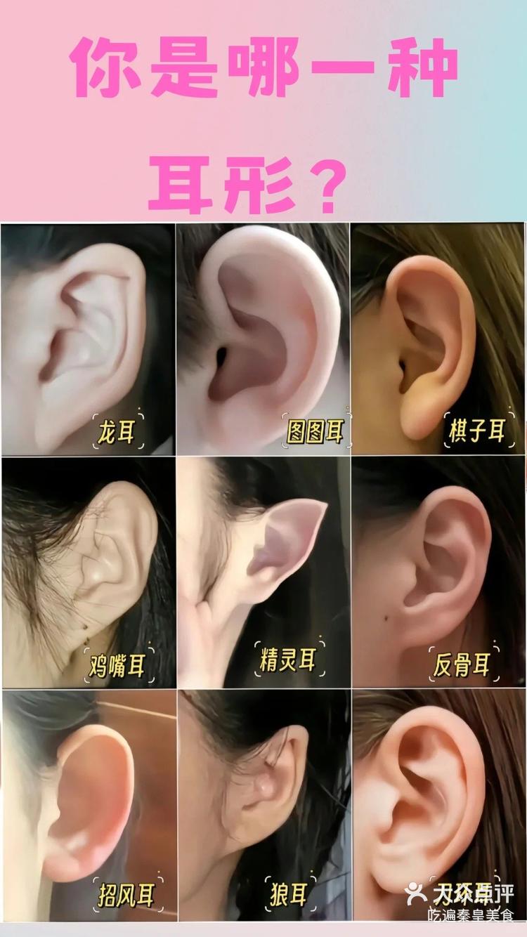 指的是人体耳朵的一种面相.