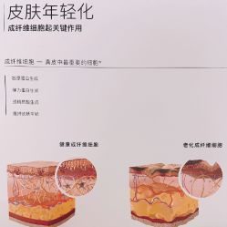 点击看大图 -汉棠汉方·美肤调体