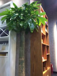 iphone_upload_pic-霓·Hair