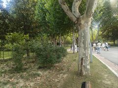 -郑州植物园