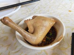 药膳乳鸽-百利鸽王(紫薇路店)