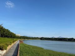 -风云岭森林公园